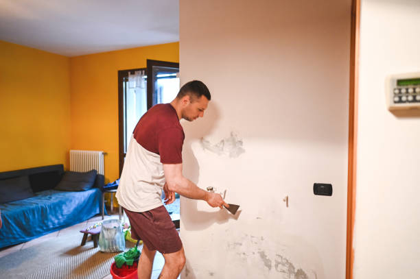 Best Crawl Space Mold Removal  in Charles Town, WV